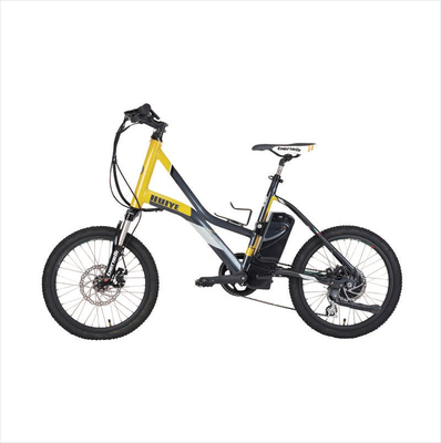 OEM फेसियल गन बैटरी 24V 2600Mah इलेक्ट्रिक साइकिल रिमूवेबल बैटरी